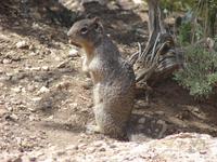 Grand Canyon &ndash; &copy; Anett Scheffler (Eberhardt TRAVEL)