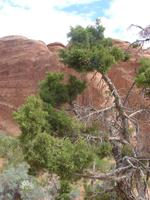 Arches-Nationalpark &ndash; &copy; Anett Scheffler (Eberhardt TRAVEL)