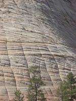 Zion-Nationalpark &ndash; &copy; Anett Scheffler (Eberhardt TRAVEL)