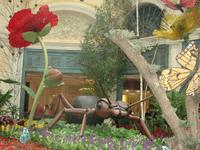 Las Vegas &ndash; &copy; Anett Scheffler (Eberhardt TRAVEL)