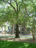 Savannah (17) &ndash; &copy; Daniela Paulan (Eberhardt TRAVEL)