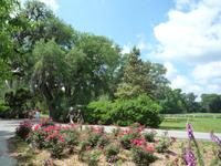 Magnolia Plantage (3) &ndash; &copy; Daniela Paulan (Eberhardt TRAVEL)