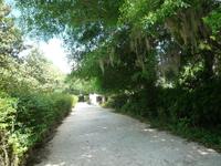 Magnolia Plantage (4) &ndash; &copy; Daniela Paulan (Eberhardt TRAVEL)