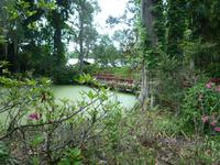 Magnolia Plantage (5) &ndash; &copy; Daniela Paulan (Eberhardt TRAVEL)