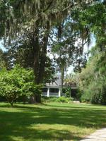 Magnolia Plantage (9) &ndash; &copy; Daniela Paulan (Eberhardt TRAVEL)