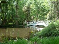 Magnolia Plantage (22) &ndash; &copy; Daniela Paulan (Eberhardt TRAVEL)