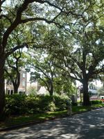 Savannah1 &ndash; &copy; Daniela Paulan (Eberhardt TRAVEL)