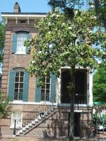 Savannah (8) &ndash; &copy; Daniela Paulan (Eberhardt TRAVEL)