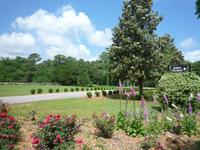 Magnolia Plantage (2) &ndash; &copy; Daniela Paulan (Eberhardt TRAVEL)