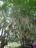 Savannah (6) &ndash; &copy; Daniela Paulan (Eberhardt TRAVEL)