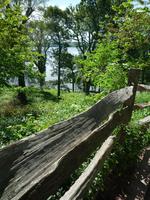Mount Vernon (27) &ndash; &copy; Daniela Paulan (Eberhardt TRAVEL)