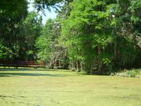 Magnolia Plantage (7) &ndash; &copy; Daniela Paulan (Eberhardt TRAVEL)