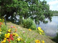 Magnolia Plantage (8) &ndash; &copy; Daniela Paulan (Eberhardt TRAVEL)