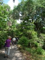 Magnolia Plantage (15) &ndash; &copy; Daniela Paulan (Eberhardt TRAVEL)