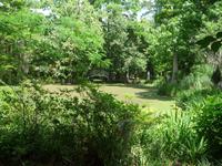 Magnolia Plantage (16) &ndash; &copy; Daniela Paulan (Eberhardt TRAVEL)
