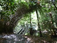 Magnolia Plantage (26) &ndash; &copy; Daniela Paulan (Eberhardt TRAVEL)