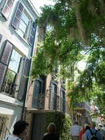 Savannah (9) &ndash; &copy; Daniela Paulan (Eberhardt TRAVEL)