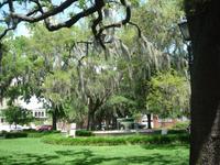 Savannah (18) &ndash; &copy; Daniela Paulan (Eberhardt TRAVEL)