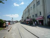 Savannah (26) &ndash; &copy; Daniela Paulan (Eberhardt TRAVEL)