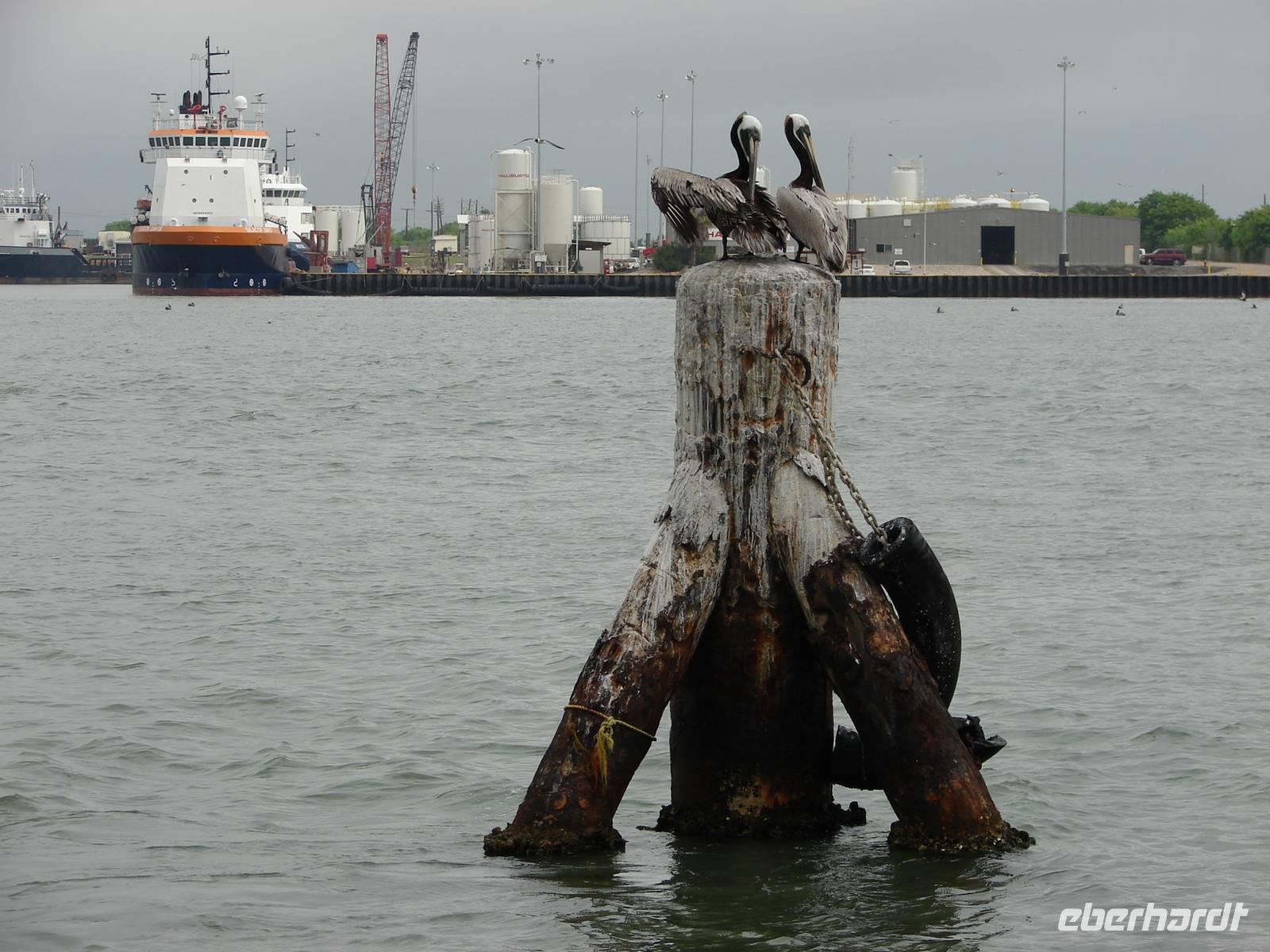 26-Galveston (44) &ndash; &copy; Anett Scheffler (Eberhardt TRAVEL)