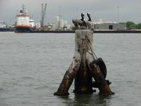 26-Galveston (44) &ndash; &copy; Anett Scheffler (Eberhardt TRAVEL)