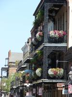 31-Rundgang in New Orleans (40) &ndash; &copy; Anett Scheffler (Eberhardt TRAVEL)