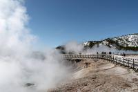 Norris-Geysir-Becken, Yellowstone Nationalpark &ndash; &copy; Astrid Kunath (Eberhardt TRAVEL)