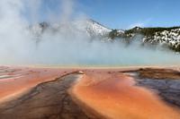 Norris-Geysir-Becken, Yellowstone Nationalpark &ndash; &copy; Astrid Kunath (Eberhardt TRAVEL)