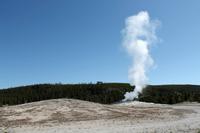 Old Faithful Geysir &ndash; &copy; Astrid Kunath (Eberhardt TRAVEL)