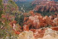 Bryce Canyon &ndash; &copy; Astrid Kunath (Eberhardt TRAVEL)