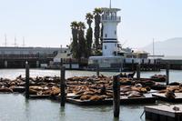 Pier 39, San Francisco &ndash; &copy; Astrid Kunath (Eberhardt TRAVEL)