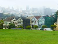 Painted Ladies &ndash; &copy; Sylvia Sann (Eberhardt TRAVEL)