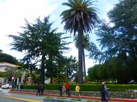 Sausolito &ndash; &copy; Sylvia Sann (Eberhardt TRAVEL)