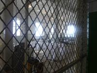 Auf Alcatraz &ndash; &copy; Sylvia Sann (Eberhardt TRAVEL)