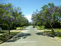 Beverly Hills &ndash; &copy; Sylvia Sann (Eberhardt TRAVEL)
