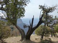Grand Canyon &ndash; &copy; Sylvia Sann (Eberhardt TRAVEL)