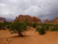 Monument Valley &ndash; &copy; Sylvia Sann (Eberhardt TRAVEL)