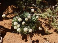 Arches-Nationalpark &ndash; &copy; Sylvia Sann (Eberhardt TRAVEL)