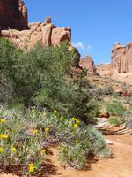 Arches-Nationalpark &ndash; &copy; Sylvia Sann (Eberhardt TRAVEL)