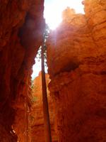 Bryce Canyon &ndash; &copy; Sylvia Sann (Eberhardt TRAVEL)