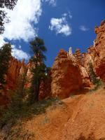 Bryce Canyon &ndash; &copy; Sylvia Sann (Eberhardt TRAVEL)