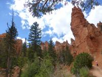 Bryce Canyon &ndash; &copy; Sylvia Sann (Eberhardt TRAVEL)