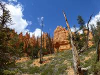 Bryce Canyon &ndash; &copy; Sylvia Sann (Eberhardt TRAVEL)