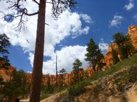 Bryce Canyon &ndash; &copy; Sylvia Sann (Eberhardt TRAVEL)