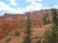 Bryce Canyon &ndash; &copy; Sylvia Sann (Eberhardt TRAVEL)