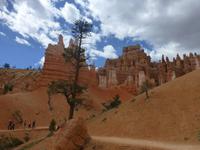 Bryce Canyon &ndash; &copy; Sylvia Sann (Eberhardt TRAVEL)