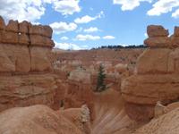 Bryce Canyon &ndash; &copy; Sylvia Sann (Eberhardt TRAVEL)