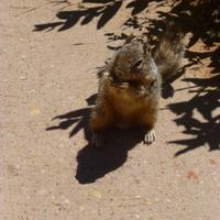 Zion-Nationalpark