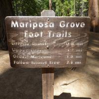 Yosemite-Nationalpark &ndash; &copy; Sylvia Sann (Eberhardt TRAVEL)