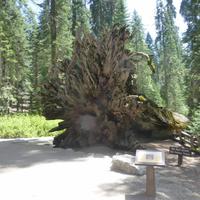 Yosemite-Nationalpark &ndash; &copy; Sylvia Sann (Eberhardt TRAVEL)